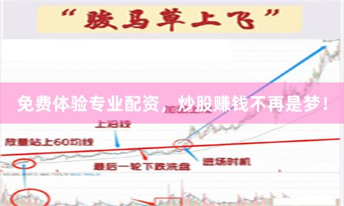免费体验专业配资，炒股赚钱不再是梦！