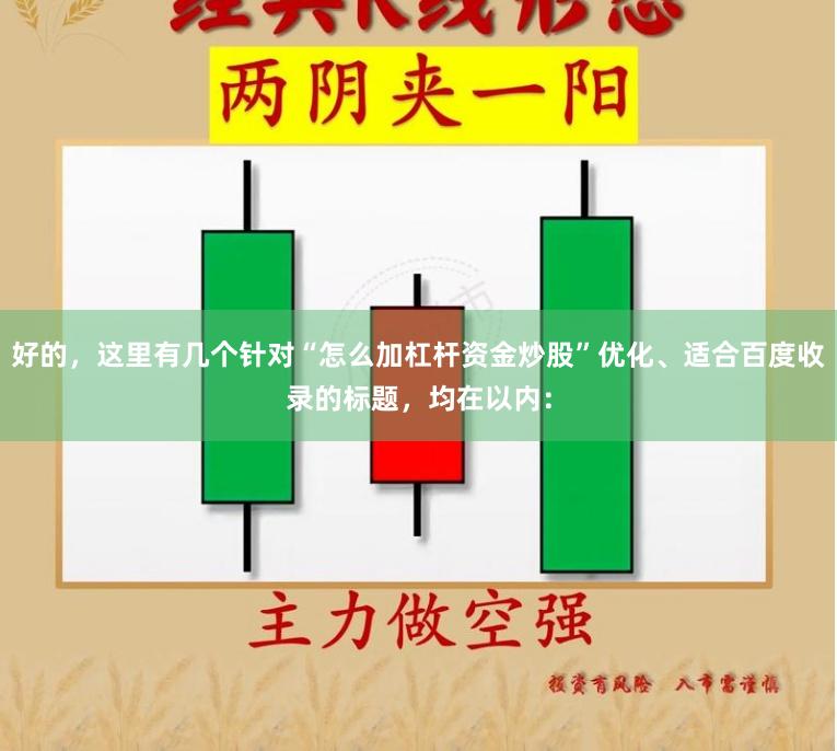 好的，这里有几个针对“怎么加杠杆资金炒股”优化、适合百度收录的标题，均在以内：